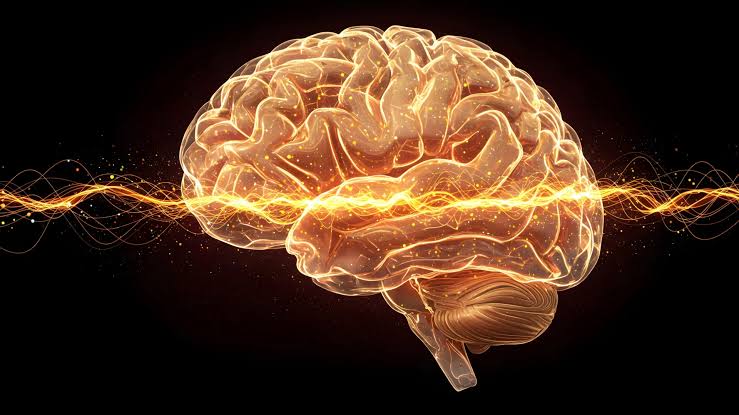 Scientists may have found the brain’s switch for chronic pain