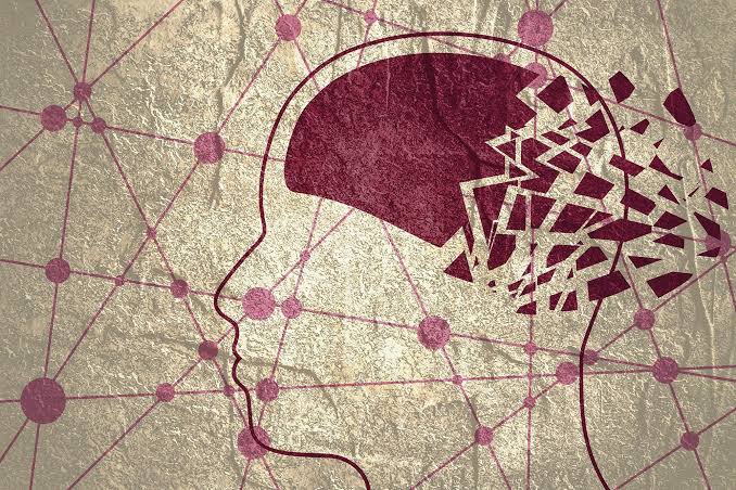 Scientists Identify Biological Pathway That Could Reverse Memory Loss