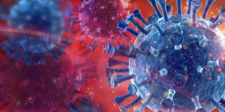 COVID variant Cicada detected in Louisiana