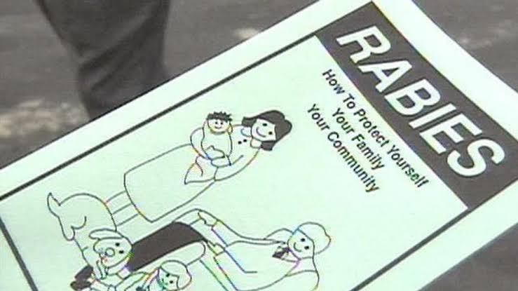 Person attacked by rabid cat in Orange County