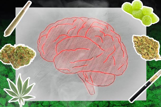 What weed really does to your brain, according to hundreds of thousands of scans