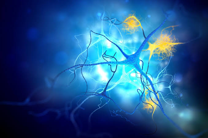 Scientists Uncover New Alzheimer’s Drug Target That Slashes Brain Plaques