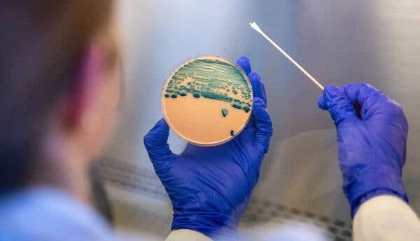 A Common Stomach Bug Has Become Harder to Treat