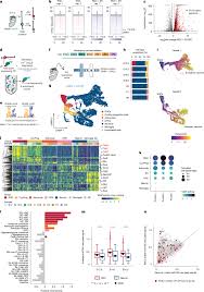 Dominant clones leverage developmental epigenomic states to drive ependymoma