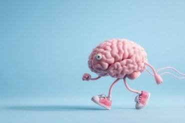Brain’s Endurance Program: Hypothalamus Remembers Exercise