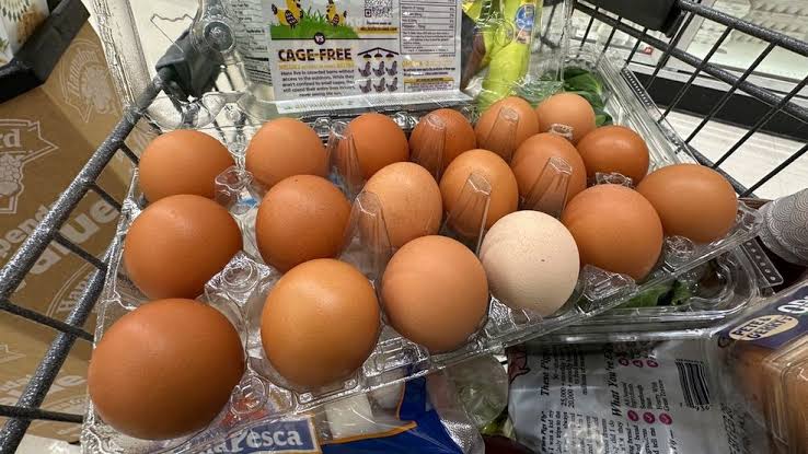 Eggs and brain health: New study cracks open Alzheimer’s link