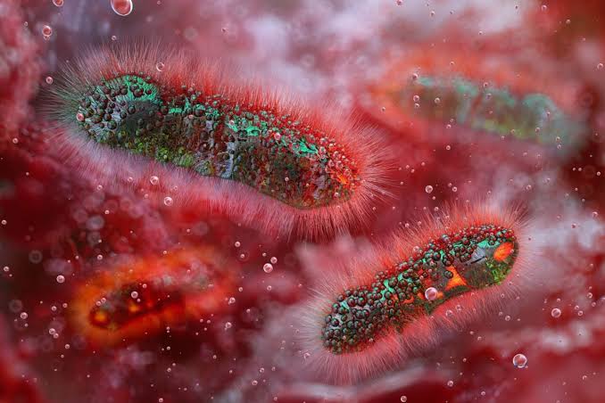 A Diarrhea-Causing Superbug Is on the Rise, Health Officials Warn