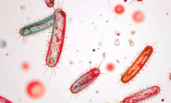 Common fungus and bacterium can join forces and cause a much more aggressive infection, according to a new study