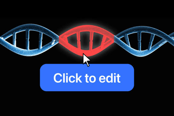 A one-time treatment tweaked their genes — and lowered their cholesterol