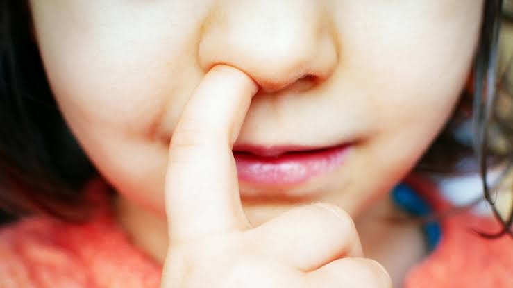 Nose-Picking May Have a Surprise Link With Alzheimer's, Study in Mice Suggests