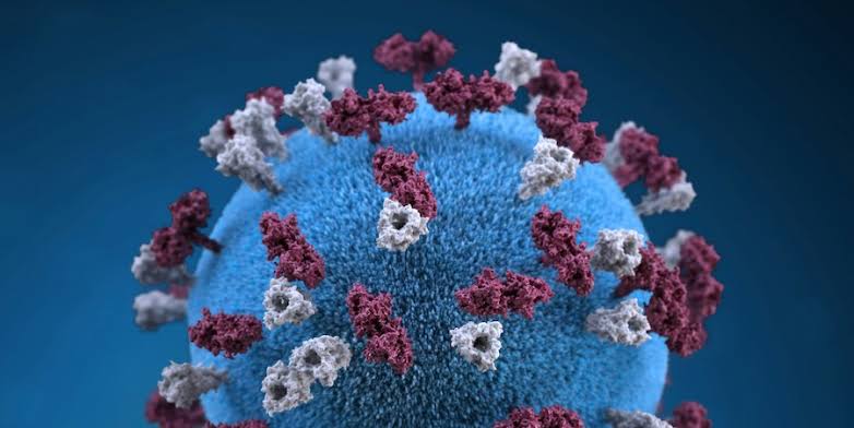 NYC confirms sixth measles case, all from international travel