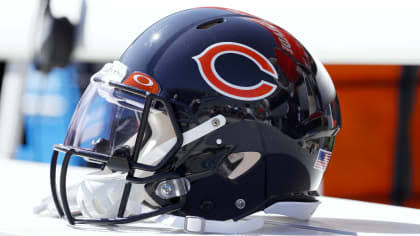 Bears plan to make stadium decision by late spring or early summer