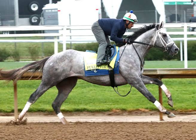 Report: Fulleffort To Scratch From Kentucky Derby, Ocelli Moves In