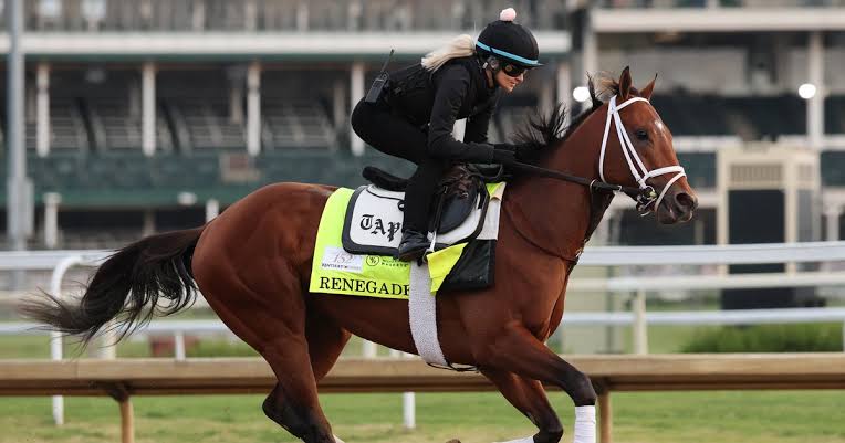 Meet the Kentucky Derby horses running in the 2026 race