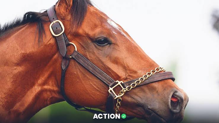 2026 Kentucky Derby Race Simulator, Model Projections