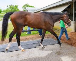 Keeneland Key to DeVaux, Golden Tempo's Success