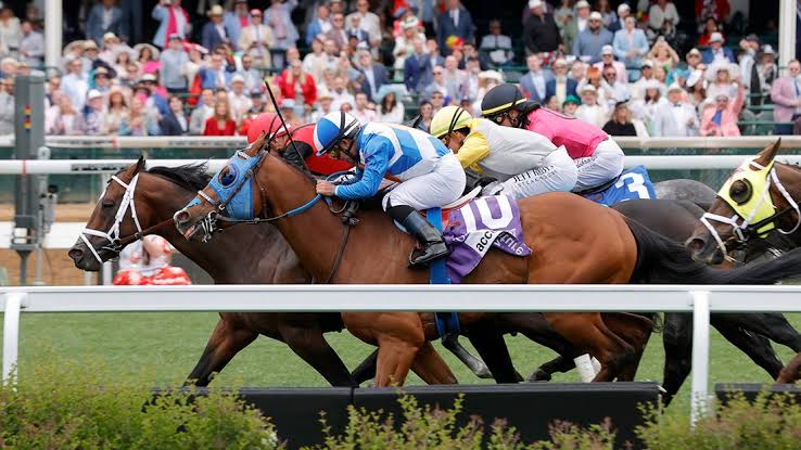 Kentucky Derby 2026: Race favorites, celebrity buzz and fashion trends take over Churchill Downs