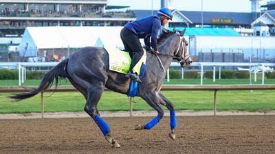 Great White is fine after throwing his jockey and getting scratched late from the Kentucky Derby
