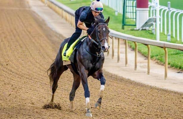Preakness Stakes 2026: Odds, analysis of the 14-horse field