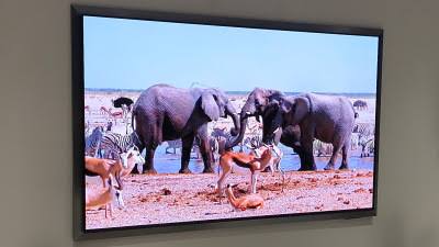 Samsung S95H: Next-Gen OLED Brightness Pushes Past the Competition