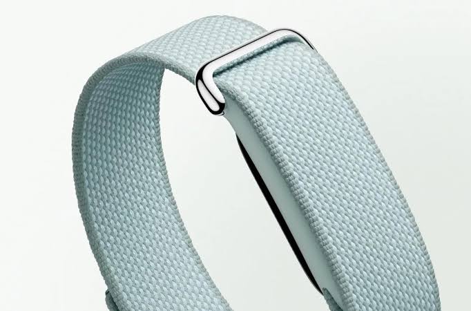 Google Fitbit Air preorders come with a second band for free