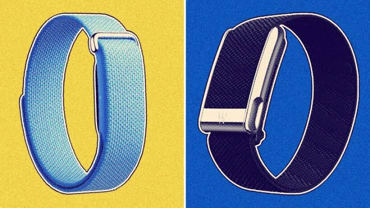 Fitbit Air vs. Whoop: Key differences between the screen-free trackers