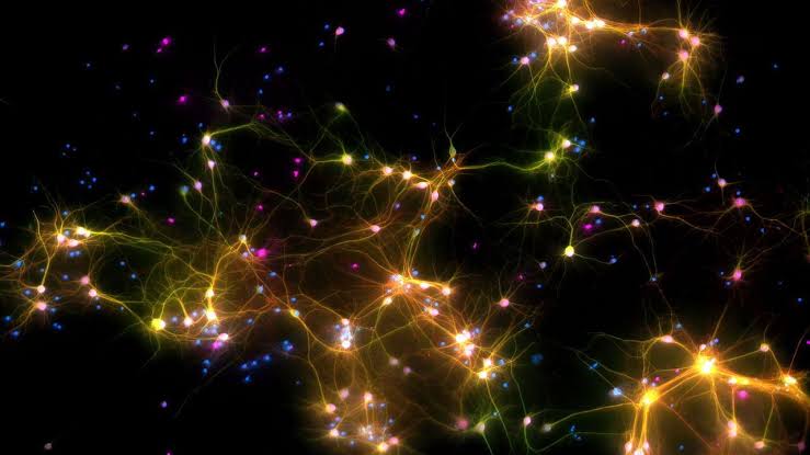 Why a startup is teaching human brain cells to play “Doom”