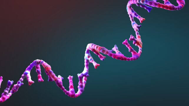 This RNA Almost Self-Replicates, Which Could Explain Life's Origins