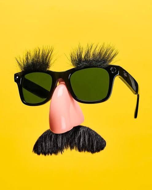 I Feel So Sorry for My A.I. Sunglasses