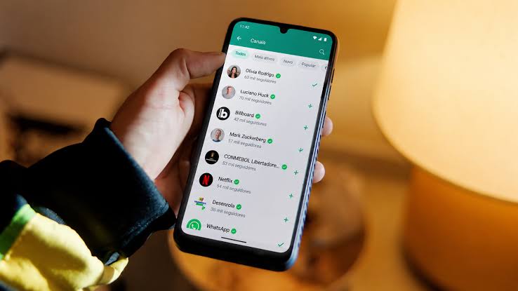 WhatsApp may abandon green on iPhone after an update reveals a Plus subscription with 18 colors, 14 icons, and premium features hidden in the App Store.