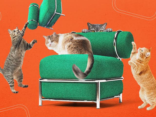 Ikea's New Blow-Up Chair Was Tested by Cats