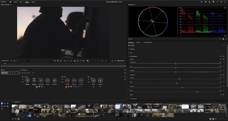 Burning Questions about Adobe Premiere Beta's new dedicated Color Mode by Scott Simmons - ProVideo