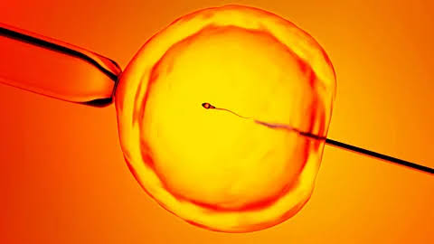 Finding 'hidden sperm': New technique offers hope to men previously told they were infertile