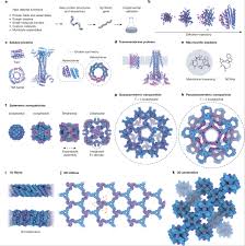 The past, present and future of de novo protein design