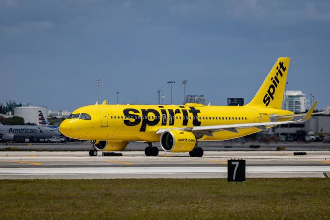 Opinion | Spirit Airlines and the New State Capitalism