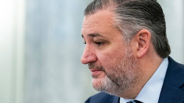 Trump faces conservative blowback over Spirit Airlines rescue