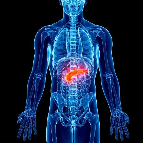 Two Drugs Stir Hope for Treatment of Deadly Pancreatic Cancer