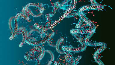 FDA advisory committee set to weigh taking action on certain unapproved peptides