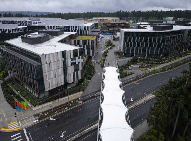 Microsoft unveils details of buyout push, offers cash and healthcare