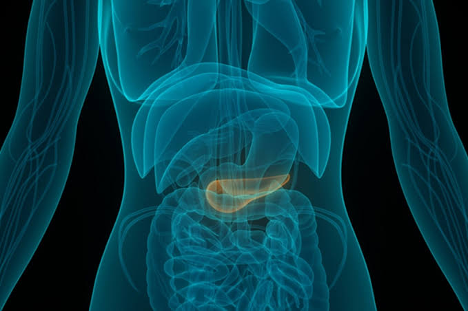 Opinion | New Hope Against Pancreatic Cancer