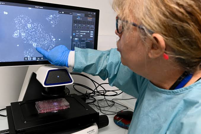 Why these treatments for one of the deadliest cancers are stirring such hope