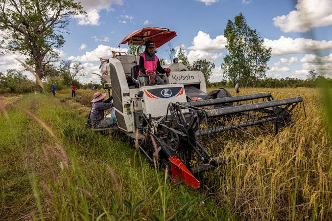 Fuel Shortages From Iran War Threaten Asia’s Biggest Food Staple