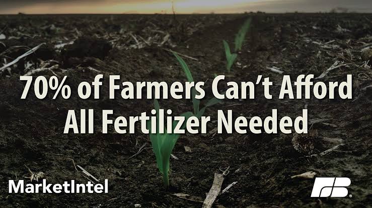 Farm Bureau Survey Reveals Real Impact of Fertilizer Availability and Price | Market Intel