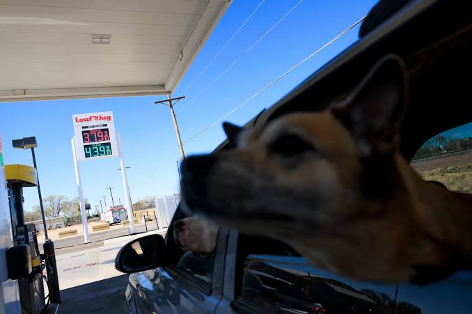 Financial markets fall to new 2026 low as oil rises again