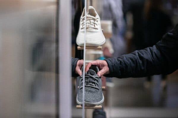 Sneaker Company Allbirds Plans to Pivot to A.I. Yes, A.I.