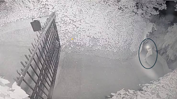 Daniel Moreno-Gama, suspect in Molotov attack at Sam Altman's California home, was in midst of mental health crisis, attorney says