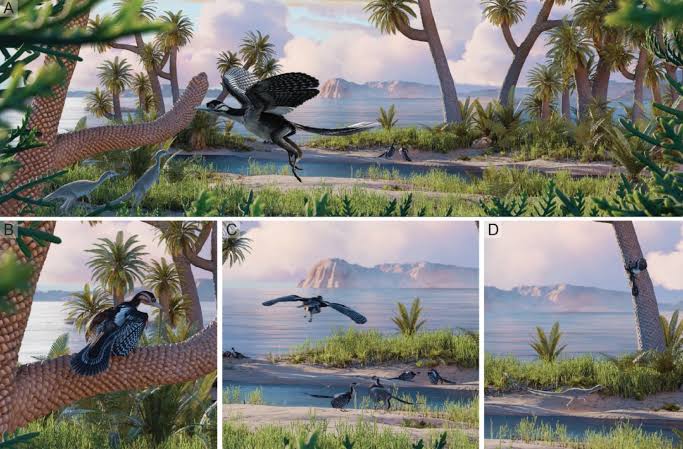 Paleontologists Reconstruct Ecology of Archaeopteryx