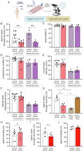 Simulated microgravity alters sperm navigation, fertilization and embryo development in mammals