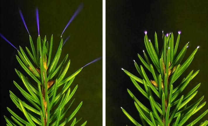 Scientists finally capture an incredible weather phenomenon on camera after decades of trying