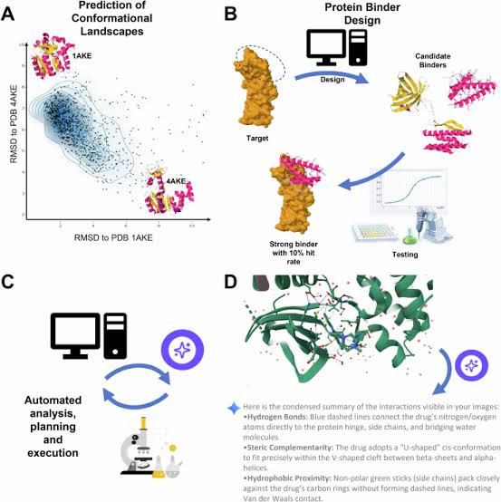 The latest AI breakthroughs in structural biology: protein binder design and conformational state prediction